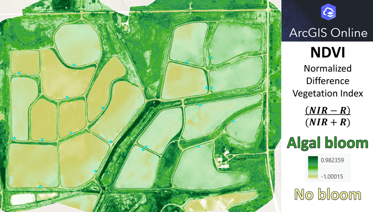 NDVI image from multispec orthomosaic